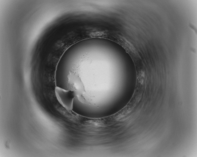 X0000095890763200801111155