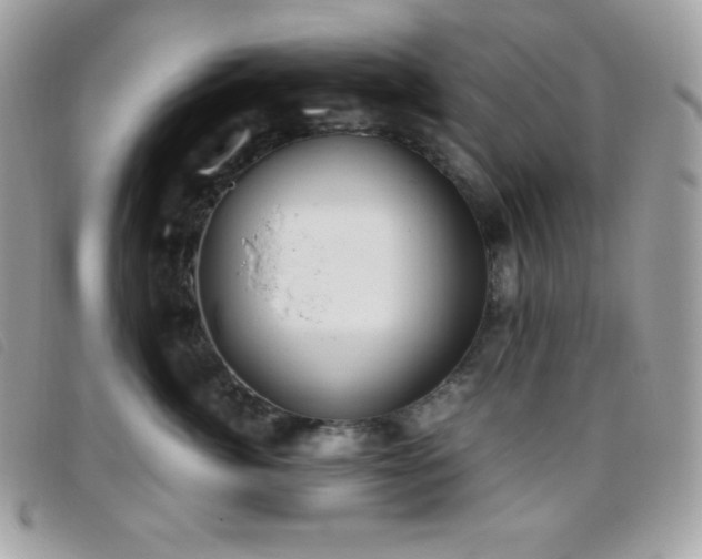 X0000095890764200801111155