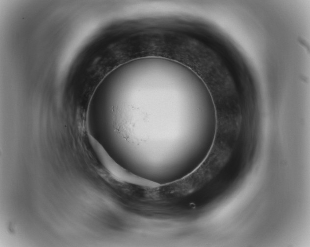 X0000095890766200801111155