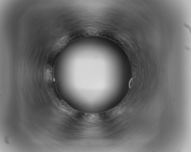 X0000095890768200801111156
