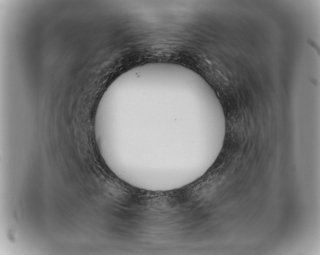 X0000095890769200801111155