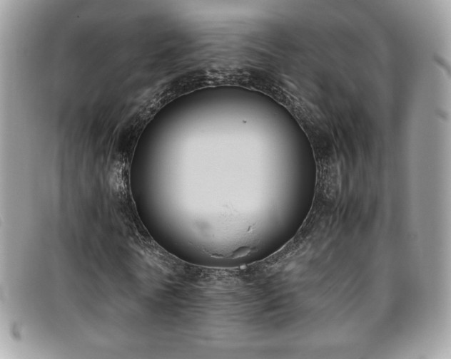 X0000095890770200801111155