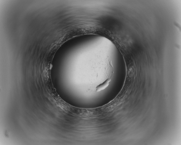 X0000095890772200801111155