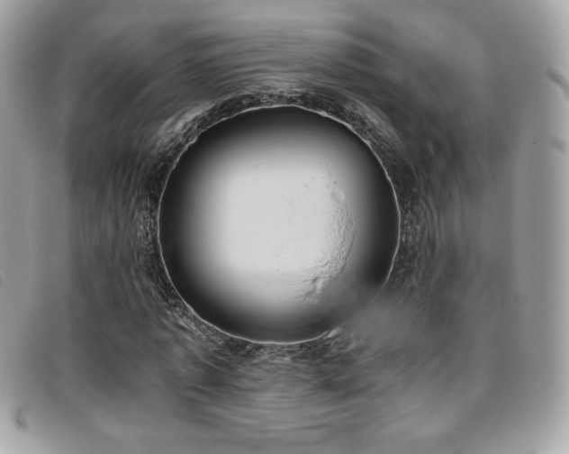X0000095890773200801111155