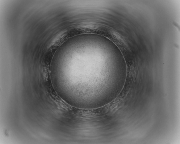 X0000095890774200801111155