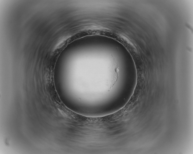 X0000095890775200801111155