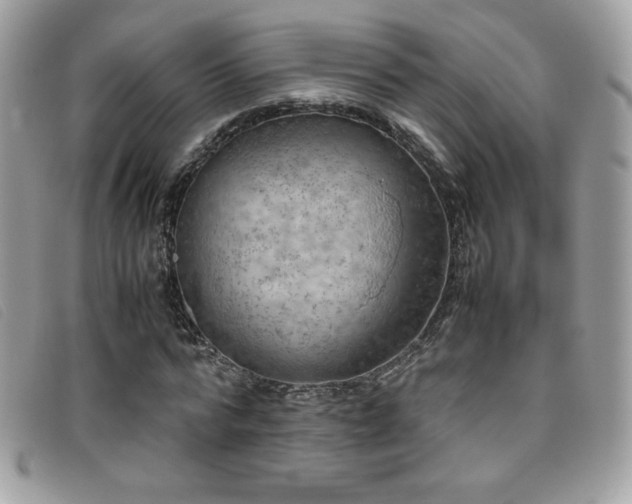 X0000095890776200801111155