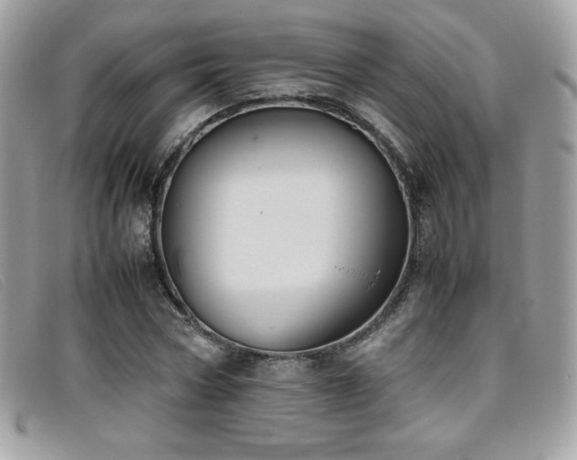 X0000095890778200801111155