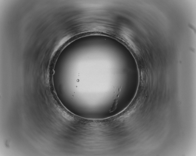 X0000095890780200801111155