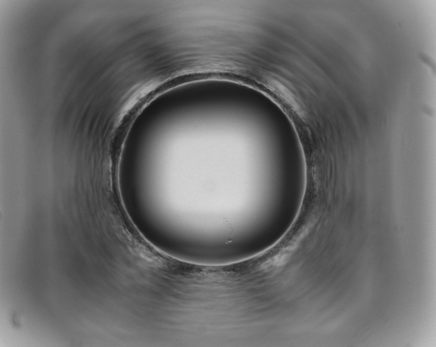 X0000095890781200801111155