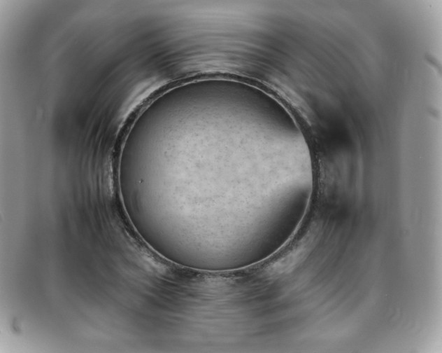 X0000095890782200801111155
