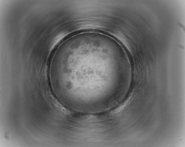 X0000095890783200801111154