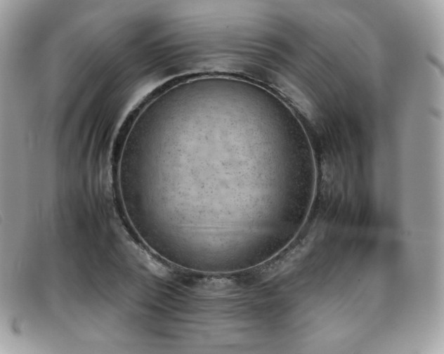X0000095890784200801111154