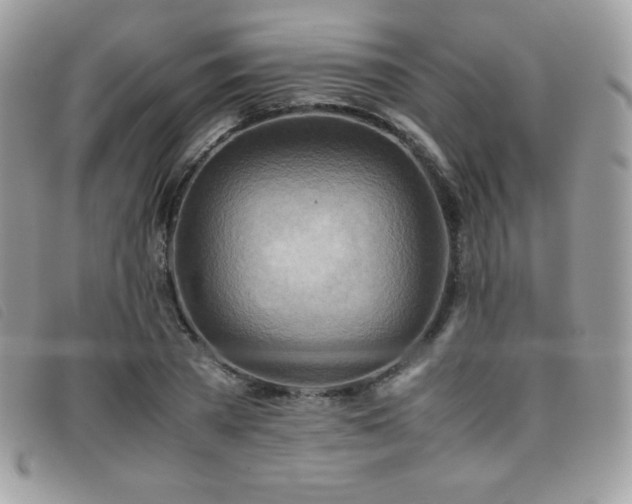X0000095890785200801111154