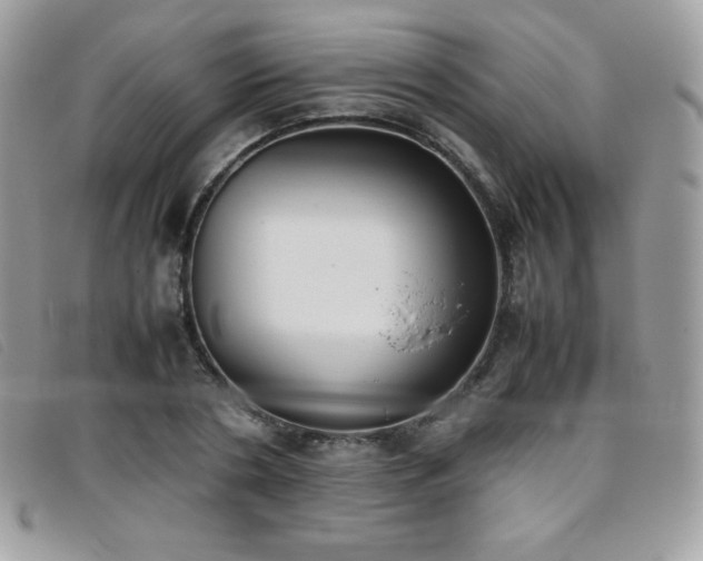 X0000095890786200801111154