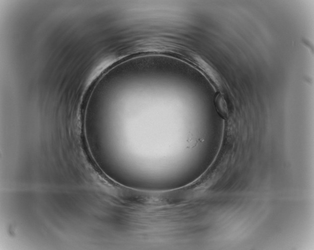 X0000095890787200801111154