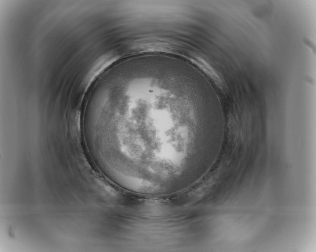 X0000095890790200801111154