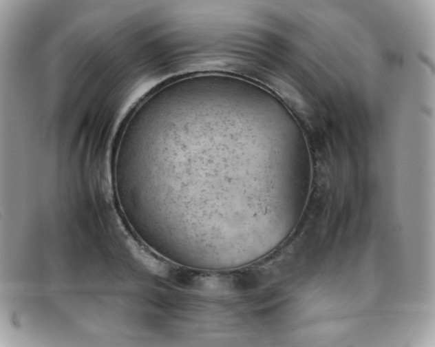 X0000095890792200801111154