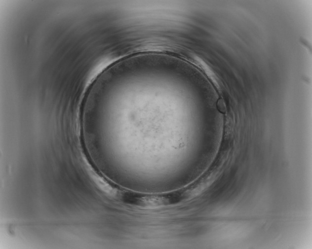 X0000095890795200801111154