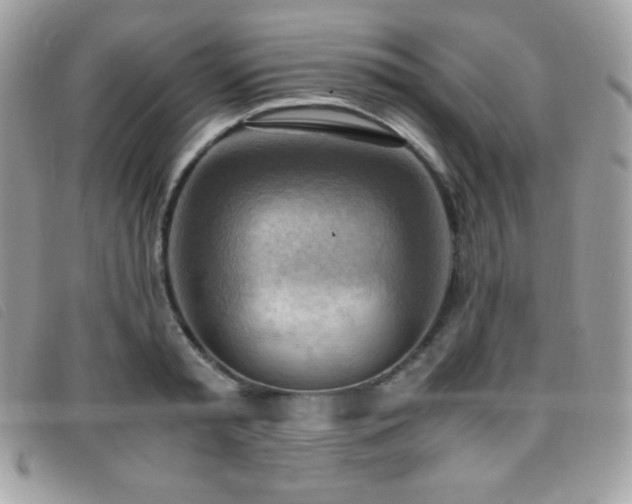X0000095890797200801111154