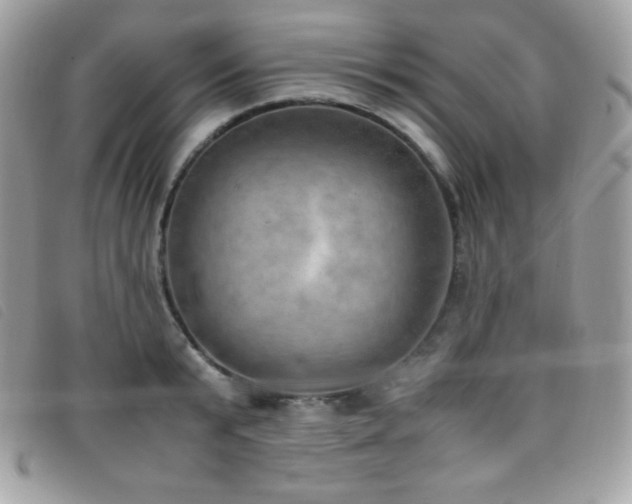 X0000095890799200801111154