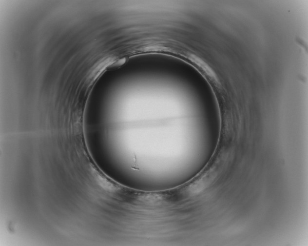 X0000095890801200801111154