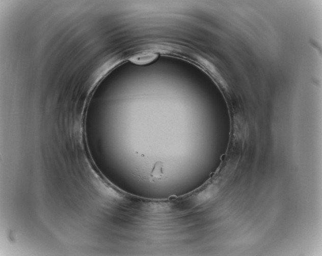 X0000095890802200801111154