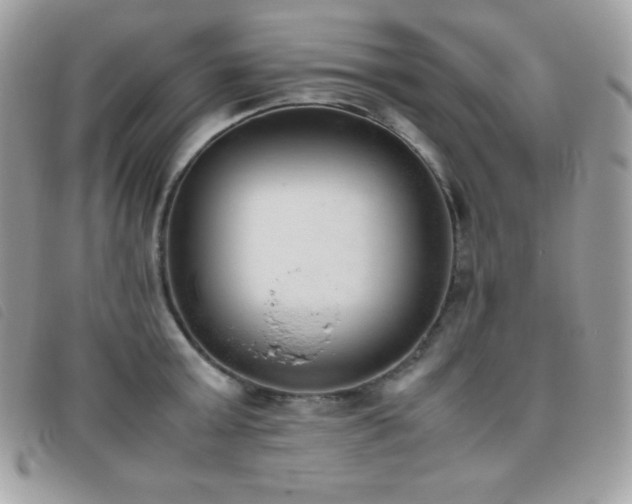 X0000095890803200801111154