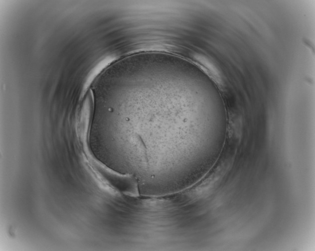 X0000095890804200801111154