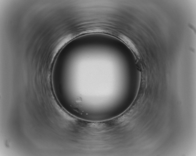 X0000095890805200801111154