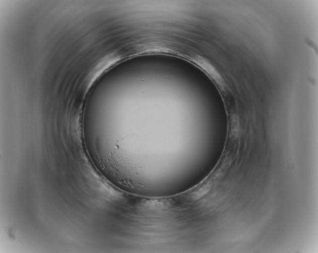 X0000095890806200801111154