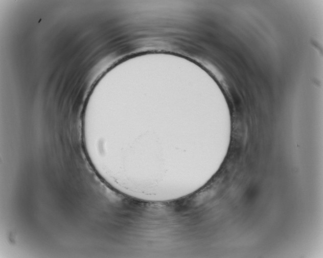 X0000095890807200801111154