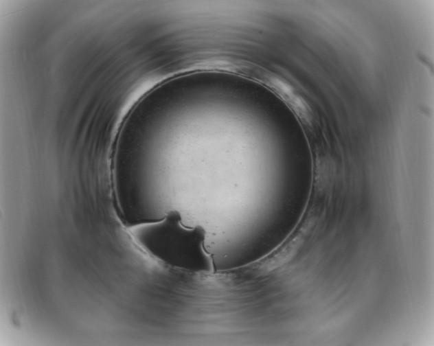 X0000095890808200801111154