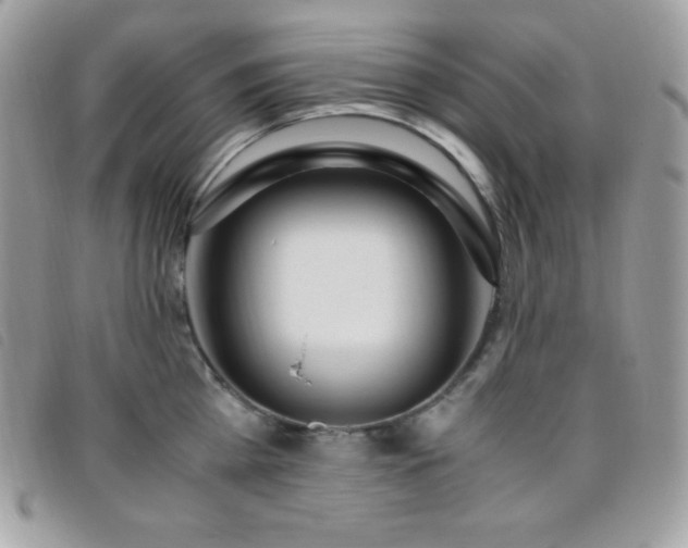 X0000095890809200801111154