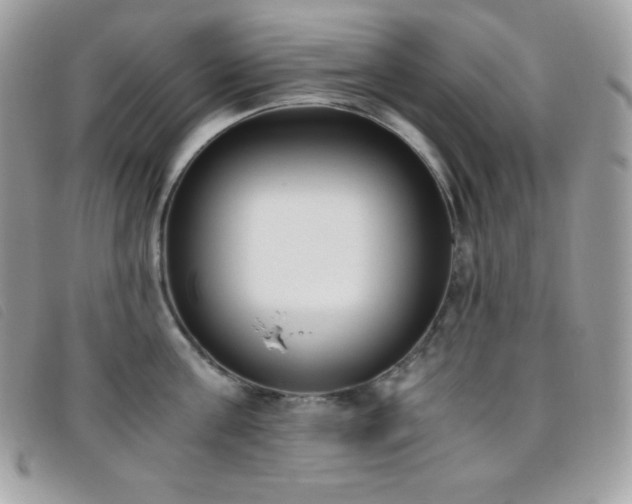 X0000095890811200801111154