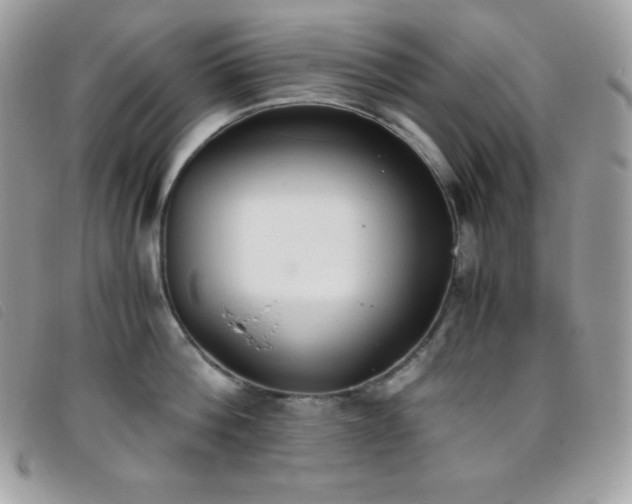 X0000095890812200801111154