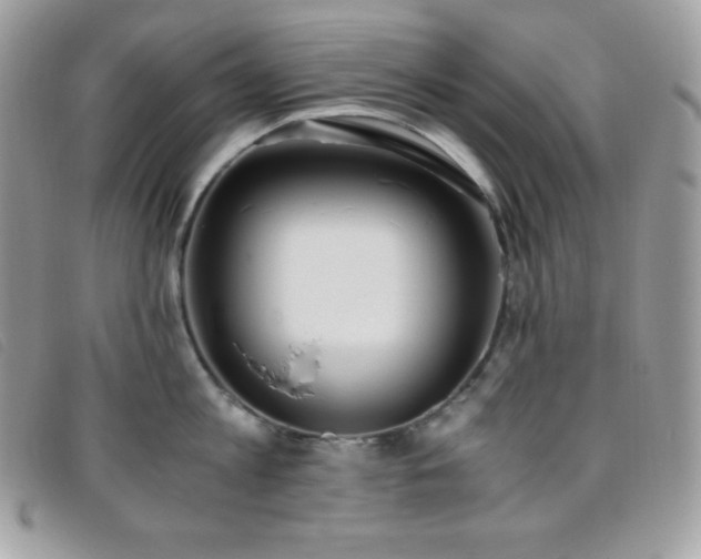 X0000095890813200801111154
