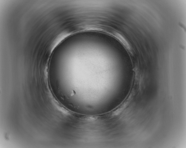 X0000095890814200801111154