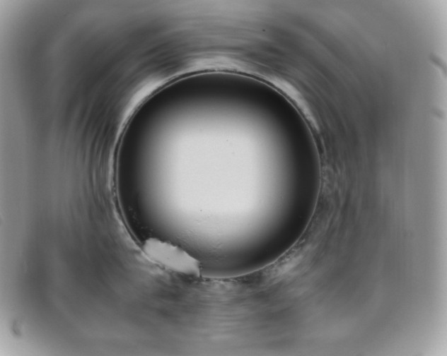 X0000095890815200801111154