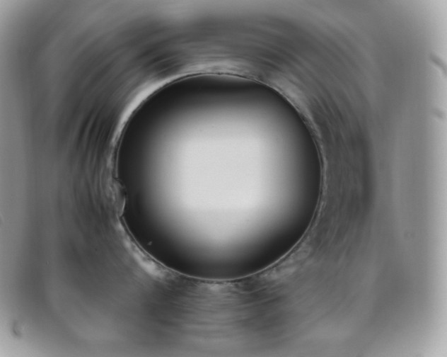 X0000095890816200801111154