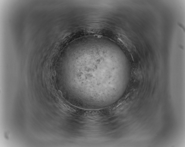 X0000095890817200801111153