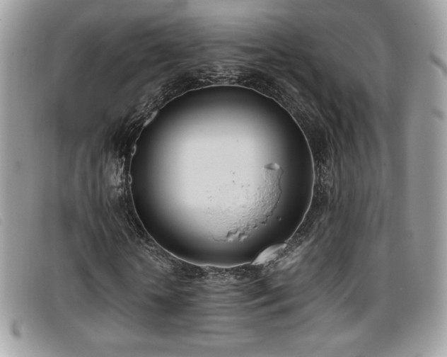 X0000095890818200801111153