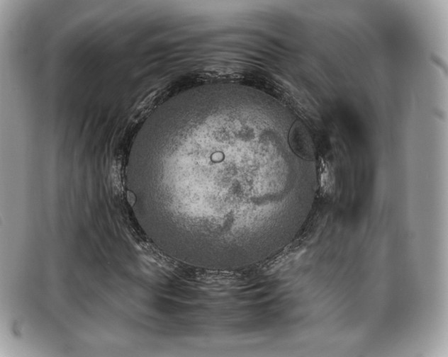 X0000095890819200801111153
