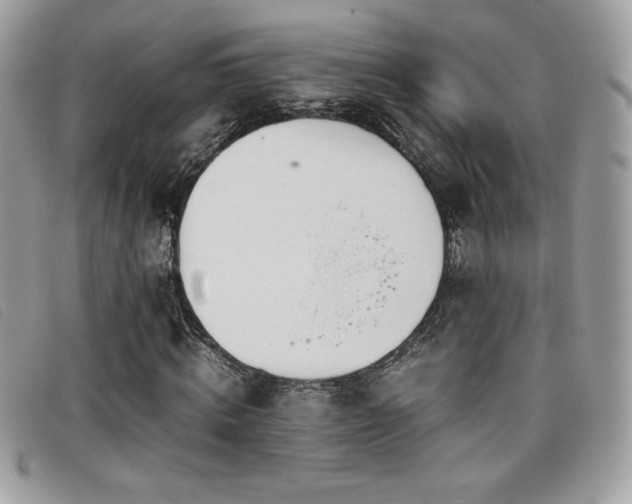 X0000095890820200801111153