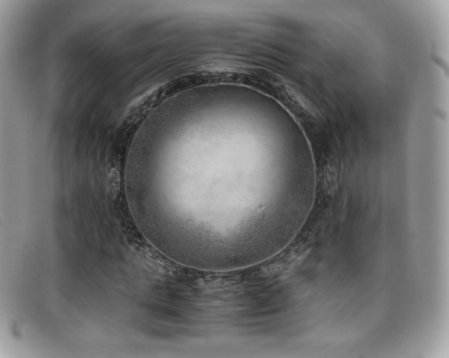 X0000095890821200801111153