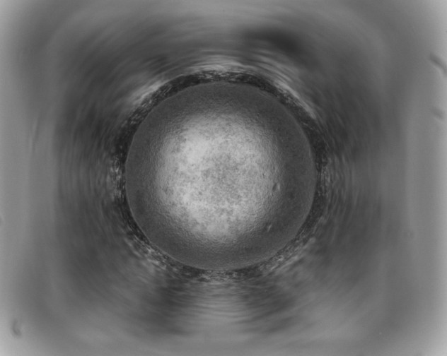 X0000095890822200801111153