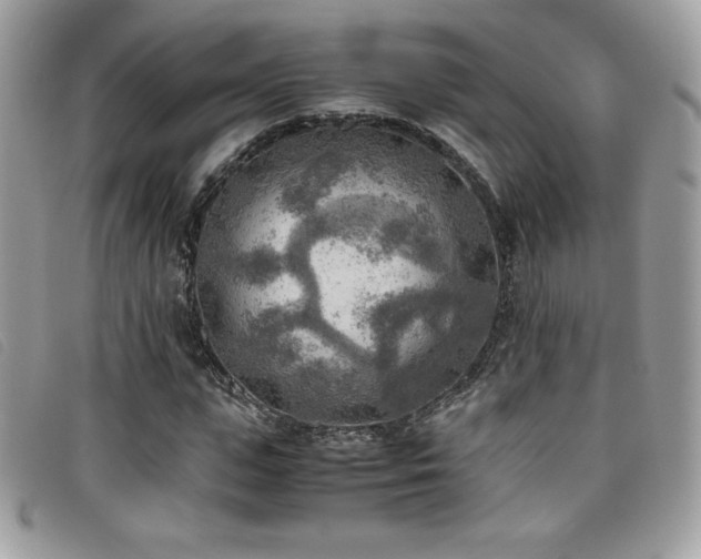 X0000095890823200801111153