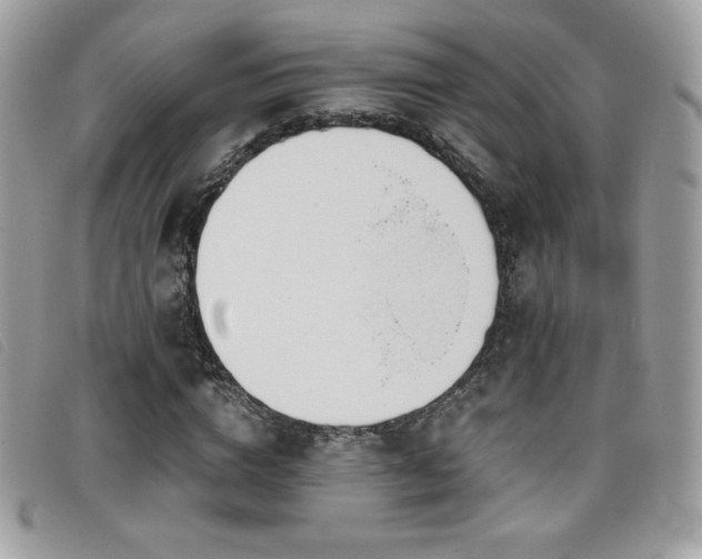 X0000095890824200801111153