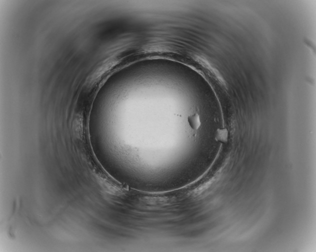 X0000095890825200801111154