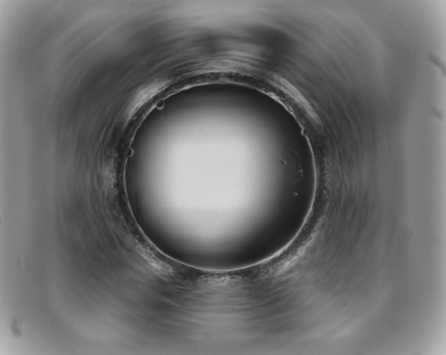 X0000095890826200801111154